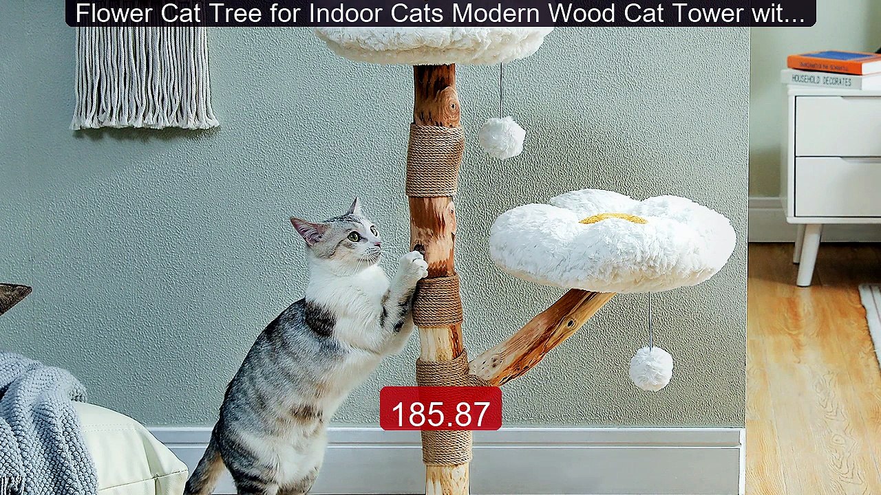 Flower Cat Tree for Indoor Cats Modern Wood Cat Tower with 2 Perche... -- Top Rated 2026 | Buy Now!
