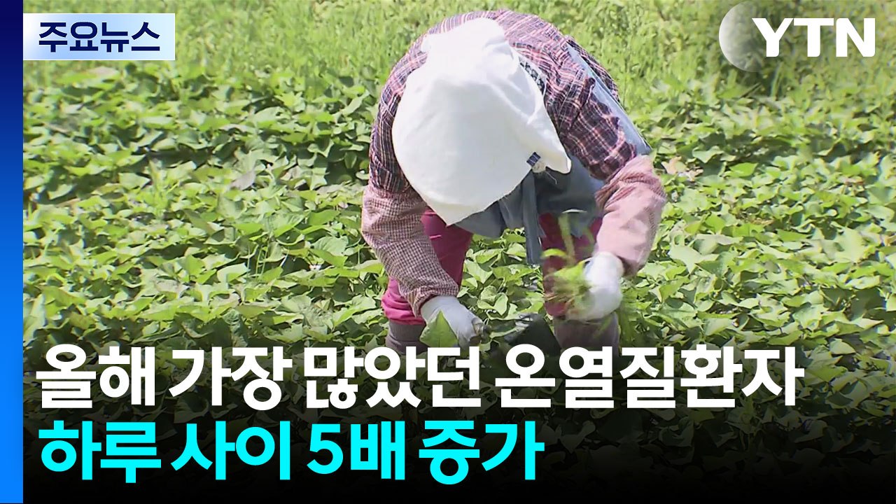 올해 가장 많았던 온열질환자...하루 사이 5배 증가 / YTN