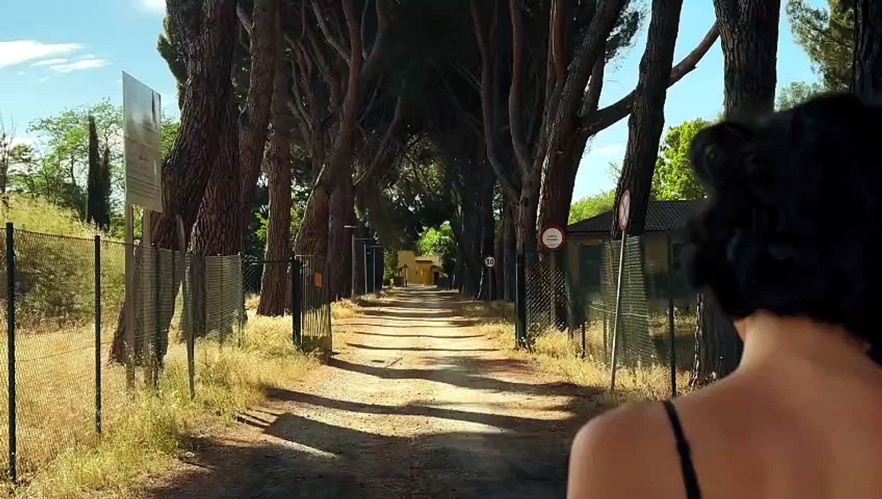 The Peace of Being Alone 🤍🌿