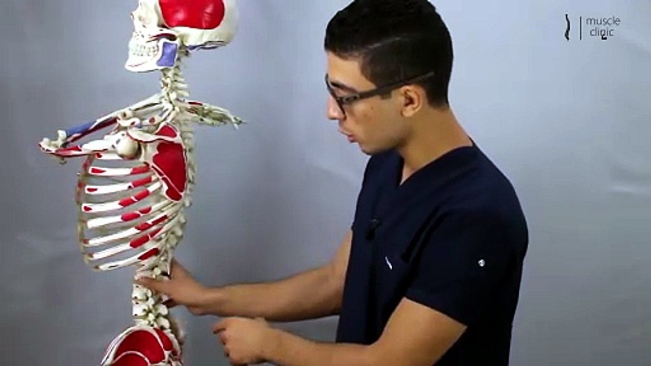 038 - 4 تمرينات لعلاج تقوس اسفل الظهر (انحناء اسفل الظهر)- anterior pelvic tilt treatment