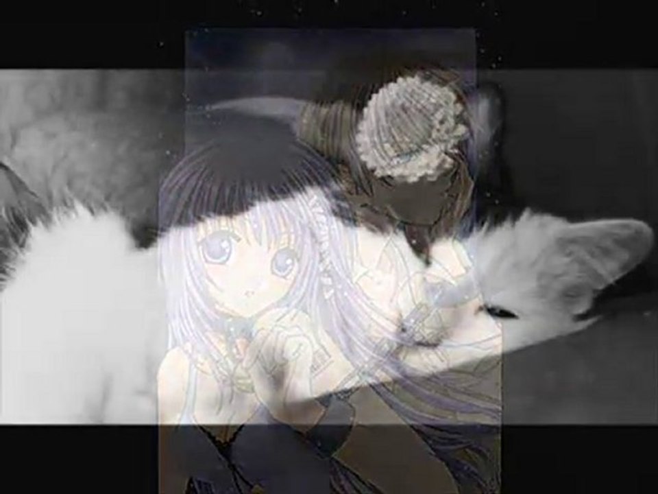 Félidés et équidés