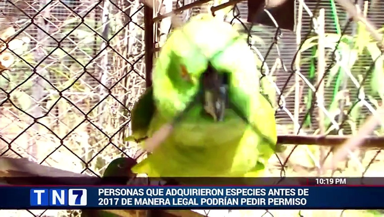 Edición nocturna de Telenoticias – 10 abril 2026 [Full Movie]