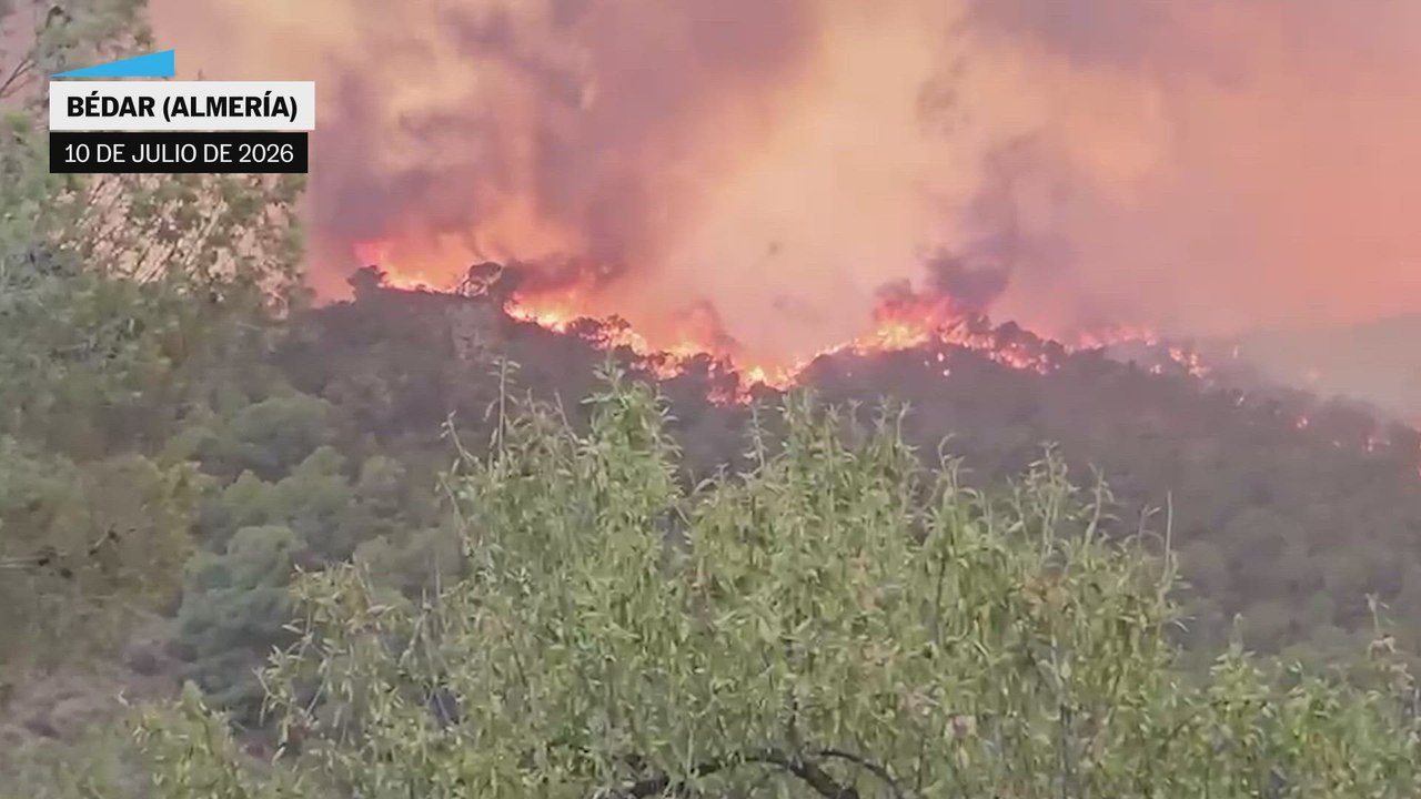 Las imágenes grabadas por Juan Cremades, vecino de Bédar (Almería), durante el incendio de Los Gallardos