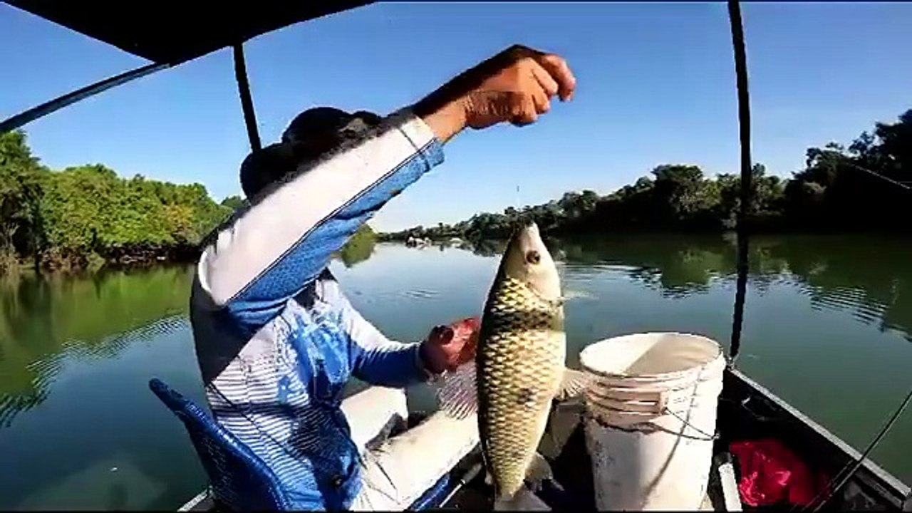 HOJE FOI FRACO SÓ PEGUEI UM PIAU  CABEÇA GORDA  #PescaEsportiva, #Pescaria, #Peixe, #Natureza
