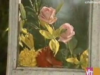 Daab - W moim ogrodzie