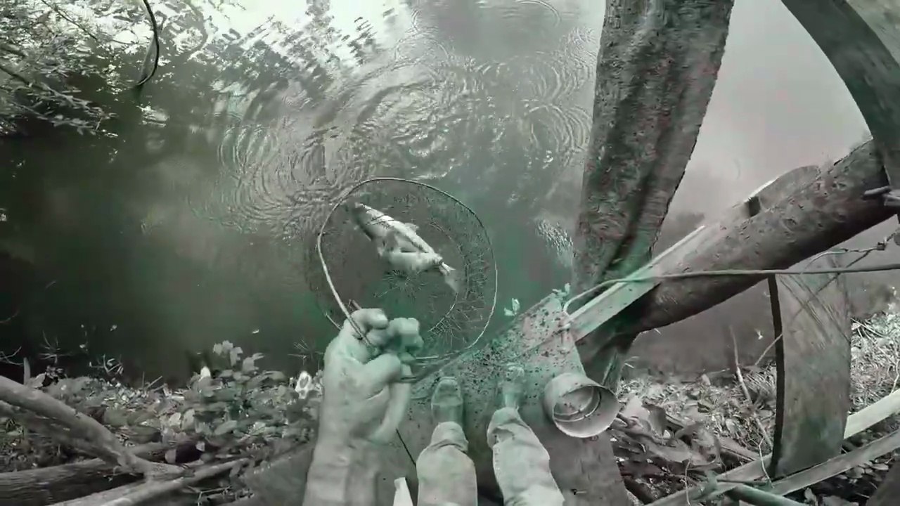 HOJE FOI PIAU SO PRA COMER#shortsvideo #PescaEsportiva, #Pescaria, #Peixe, #Natureza
