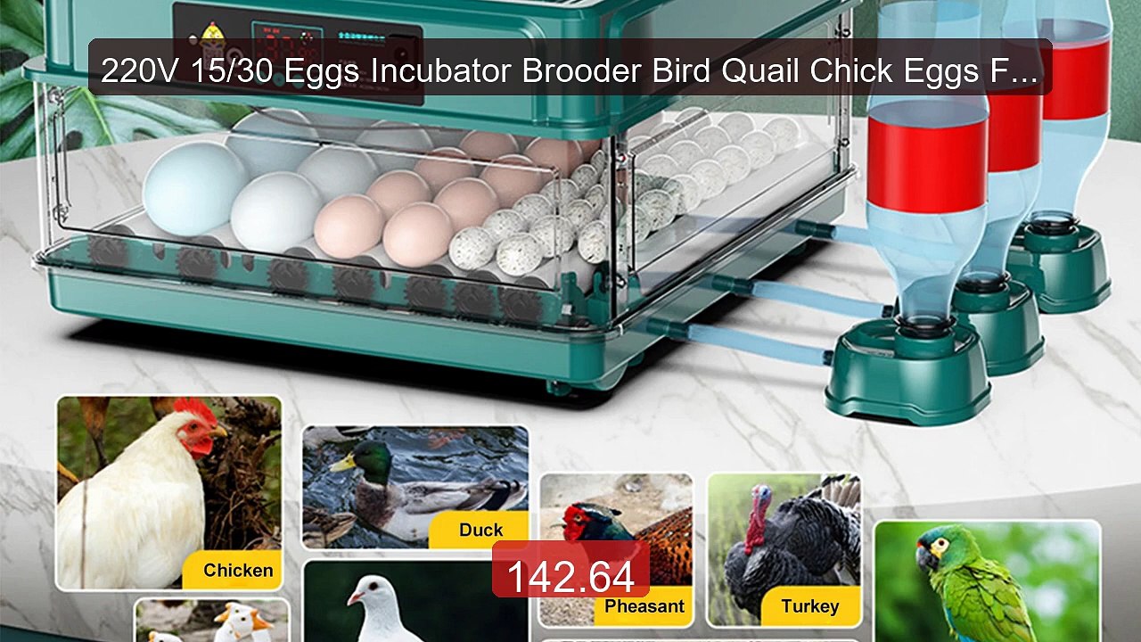 220V 15/30 Eggs Incubator Brooder Bird Quail Chick Eggs Farm ... -- Amazing Value 2026 | Must Have!