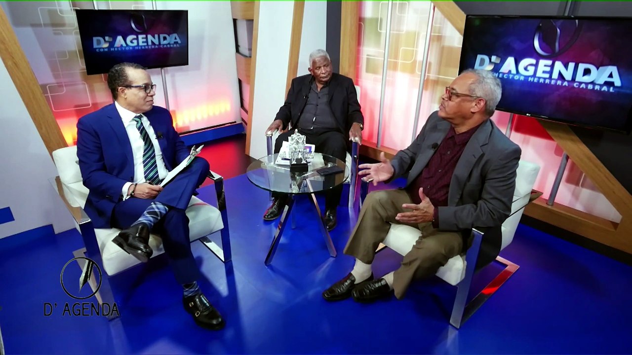 Manuel María Mercedes y Fidel Lorenzo califican como un error de Abinader dirigir reforma policial