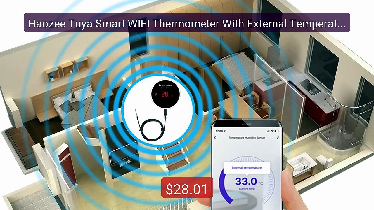 Haozee Tuya Smart WIFI Thermometer With External Temperature P... -- Best Buy 2026 | Great Quality!