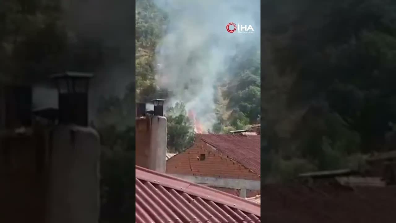 Kastamonu'da orman yangınında 40 dönümlük alan zarar gördü!