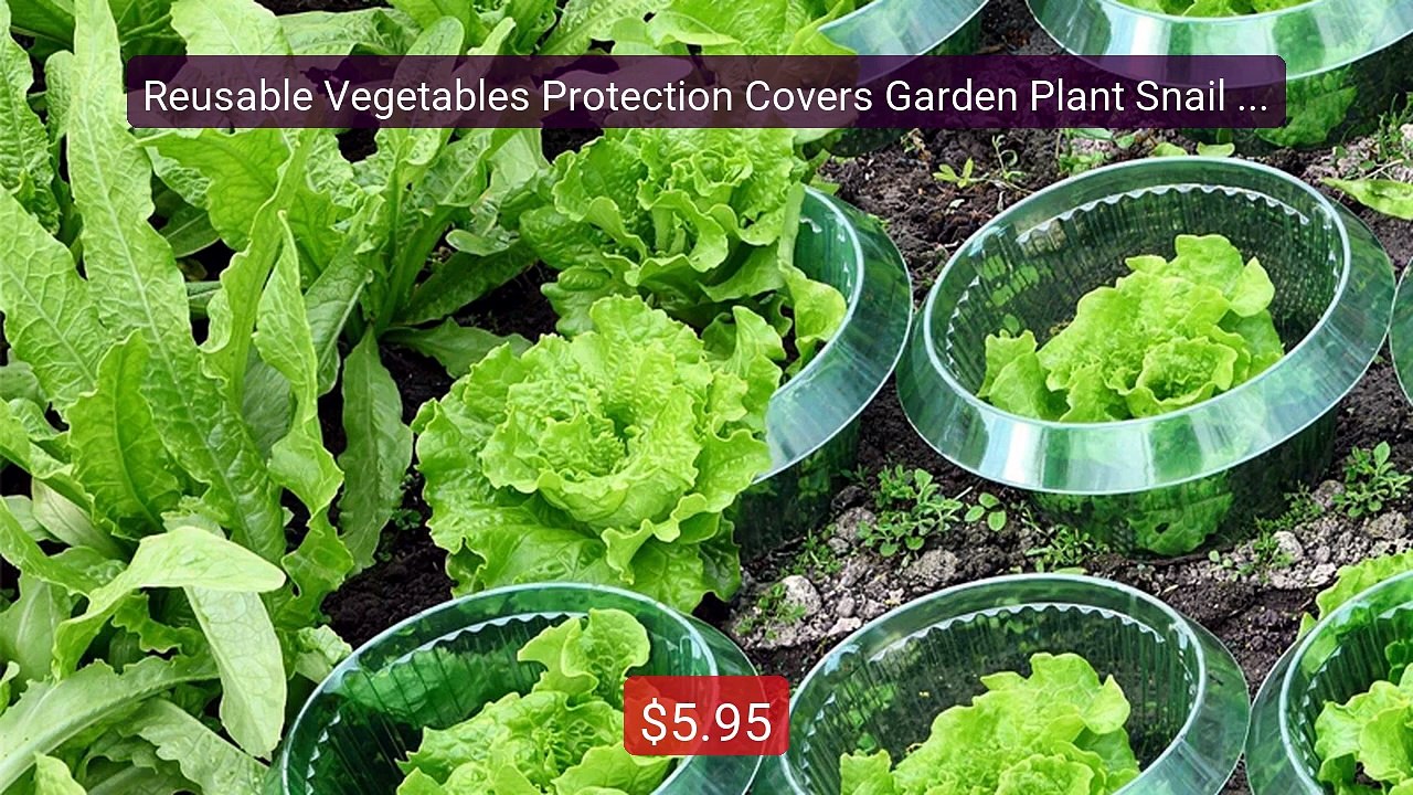 Reusable Vegetables Protection Covers Garden Plant Snail Slug Prot... -- Best Deal 2026 | Shop Now!