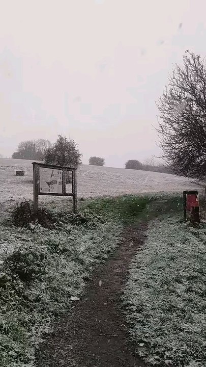 Snow view