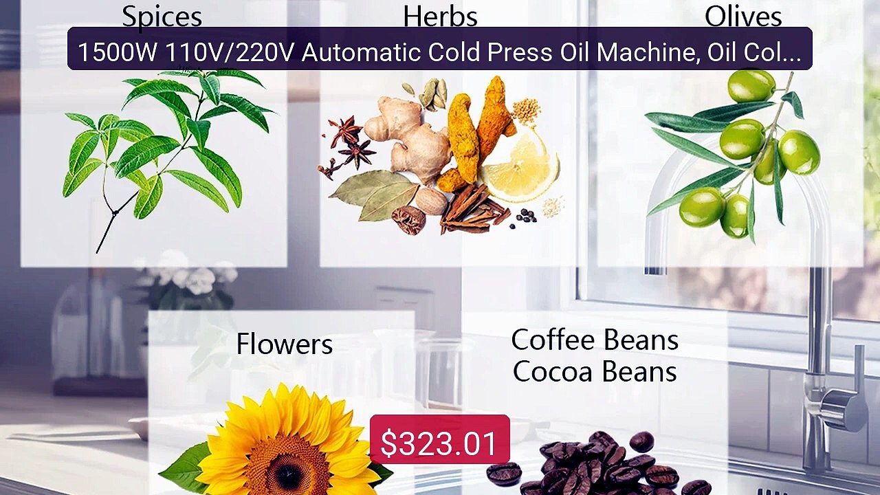1500W 110V/220V Automatic Cold Press Oil Machine, Oil Cold ... -- Top Pick 2026 | Unbeatable Price!