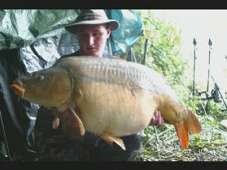 Peche a la carpe la passion ne meure jamais