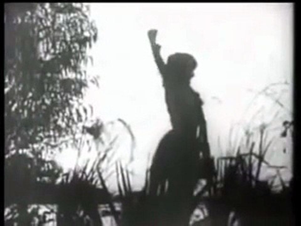 Tarzan of the Apes (1918)  Elmo Lincoln, Enid Markey, True Boardman