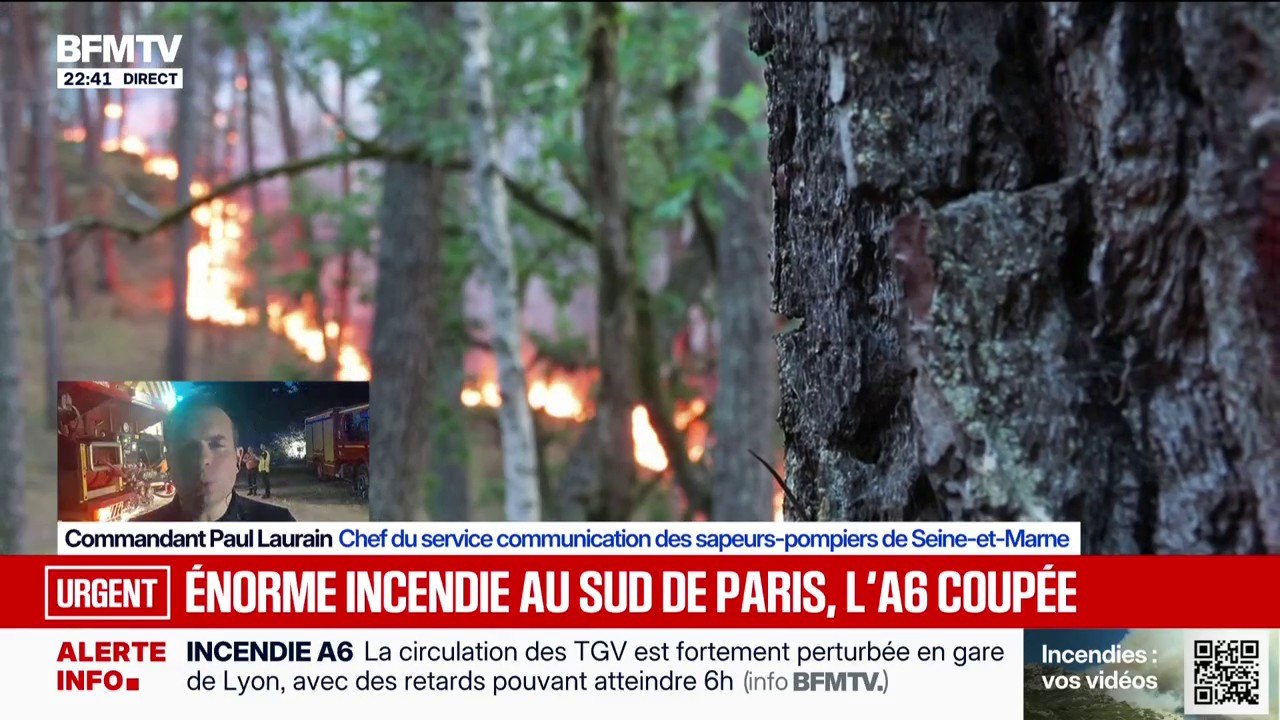 Incendie dans la forêt de Fontainebleau: "C'est un feu particulièrement virulent qui a parcouru plus de 300 hectares", indique le commandant Paul Laurain