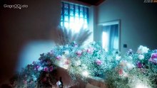 A Winter Sun Wakes The Wind In Spring Hills' Dream English Sub Asian Series EN SUB Ep Episode 8 Full