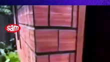 pedreiro profissional vs minecraft