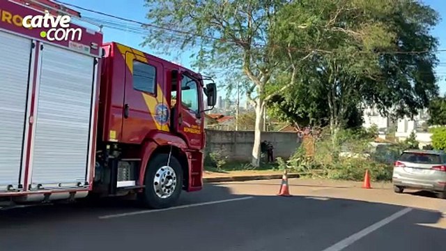 Galho de árvore cai e interdita trecho da Rua Marechal Cândido Rondon, no Bairro Canadá