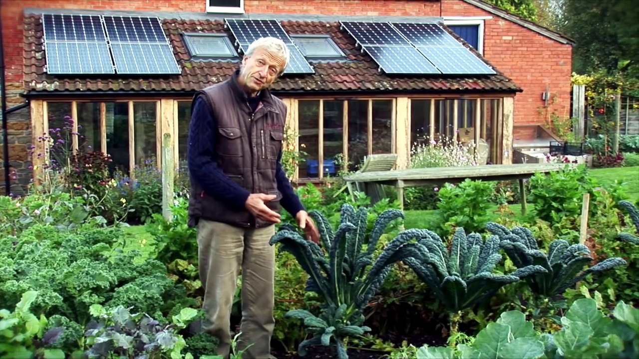 Kale's fantastic varieties for tasty harvests, raw or cooked and year-round