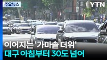 이어지는 '가마솥 더위' ...대구 아침부터 30도 넘어 / YTN