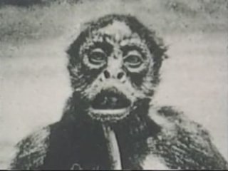 Monstres Terrestres - 2 de 3