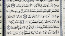 صفحة (381)