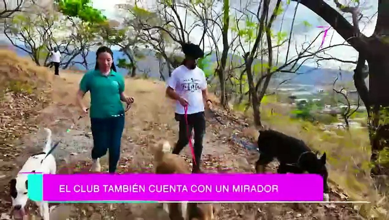 7est-un-nuevo-paraiso-para-perros-y-duenos-abre-sus-puertas-en-santa-ana-090426 [Full Movie]