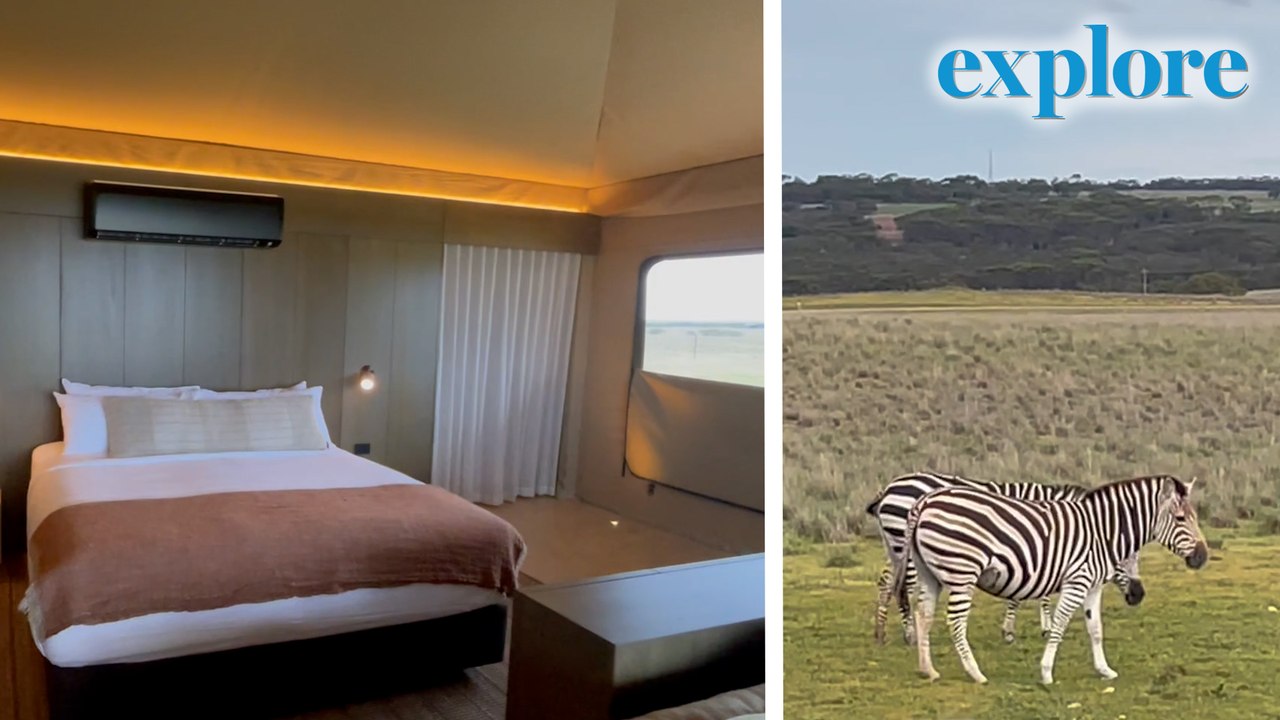 Waking up with zebras: inside Australia’s new glamping experience in Monarto