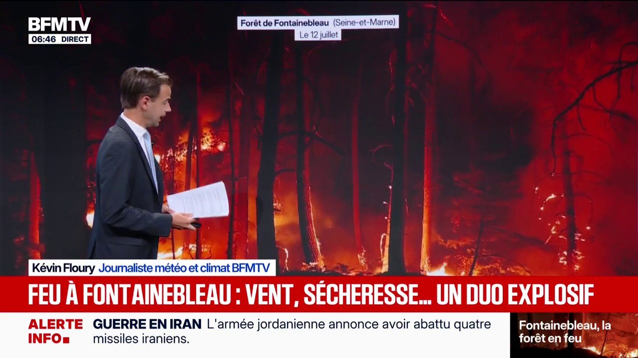 Fontainebleau: vent, sécheresse, fortes températures... Ce cocktail explosif qui va compliquer la tâche aux pompiers qui luttent contre le feu