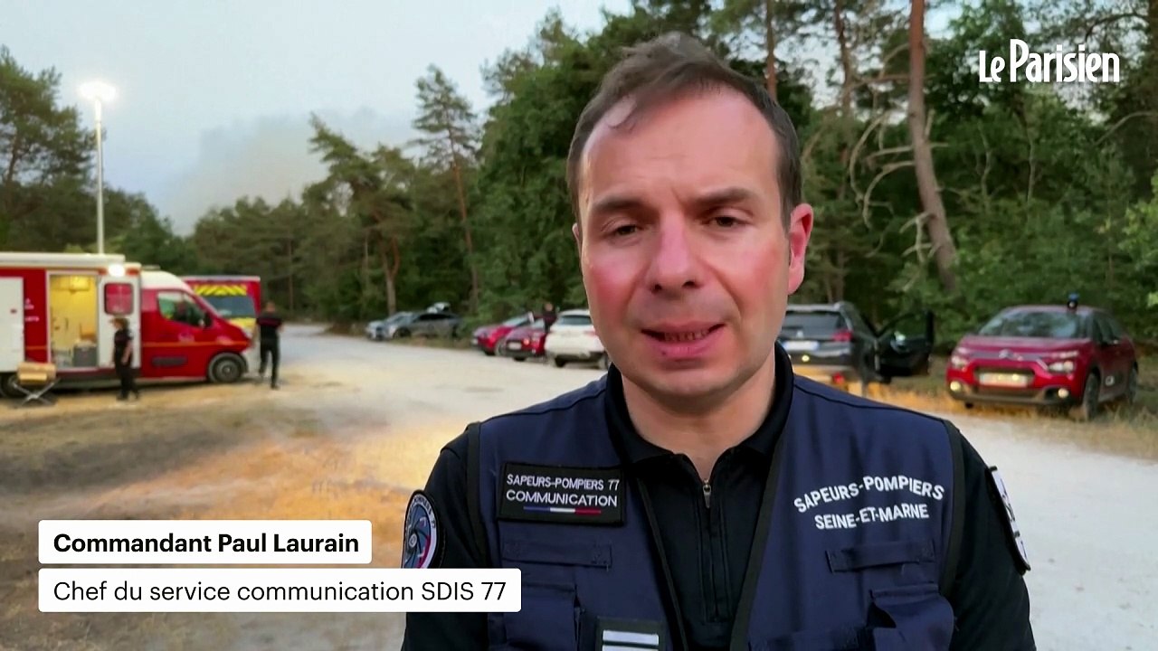 Incendie au sud de Paris : près de 400 pompiers mobilisés en forêt de Fontainebleau