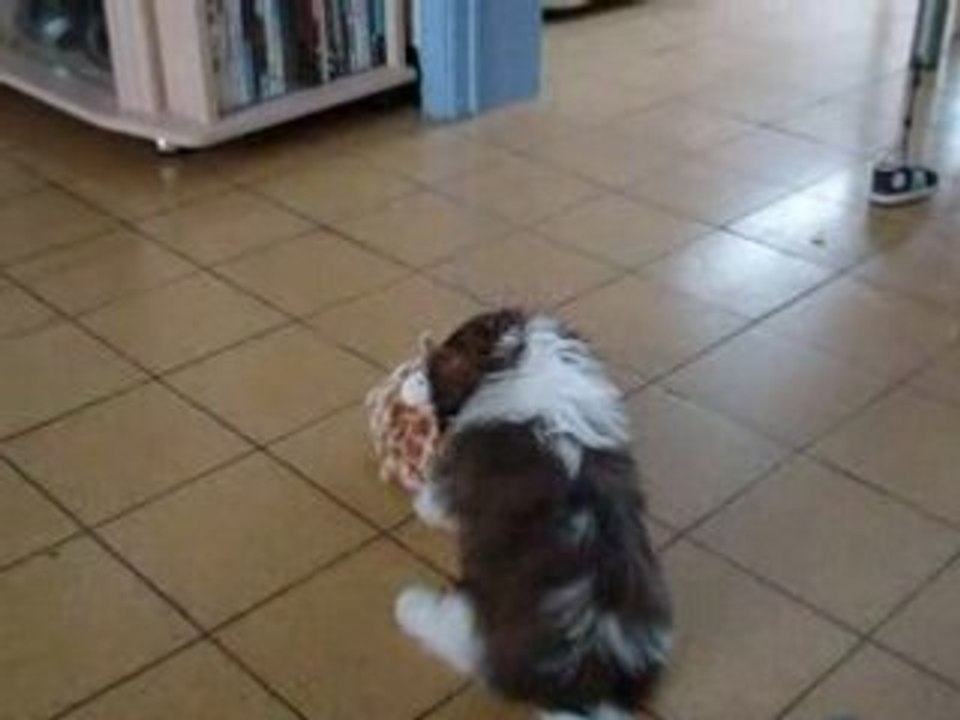 Vidéo 019