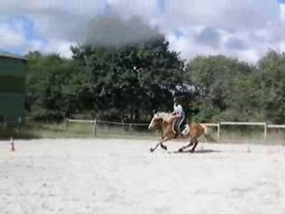 SANY0388