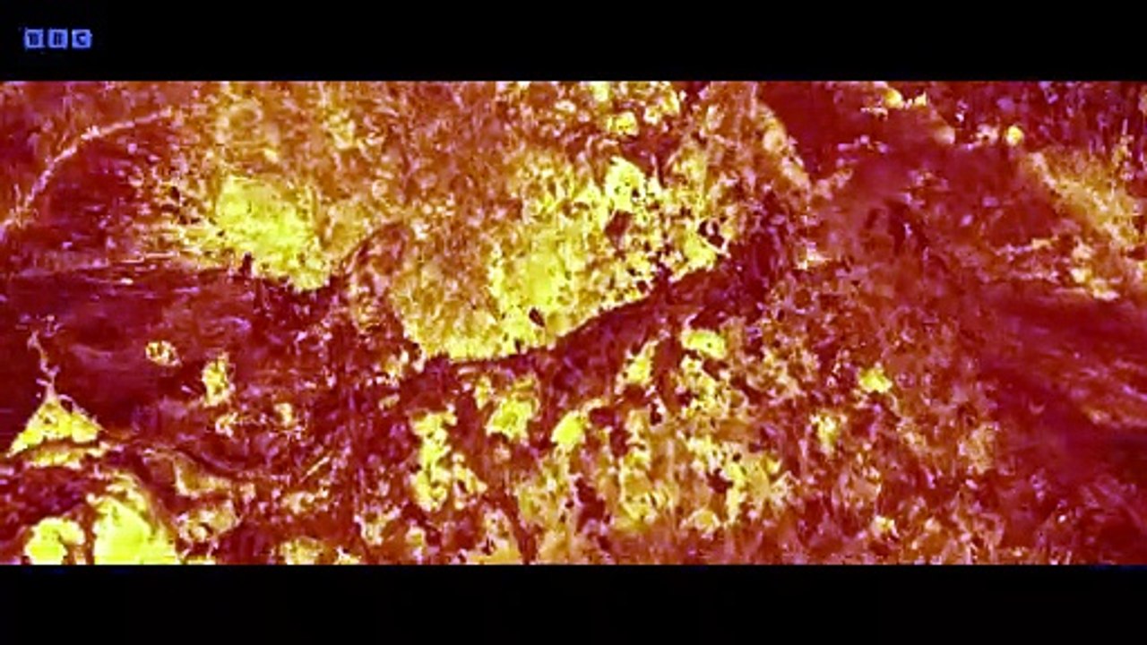Evolution 2026 S01E01 The Elephant iP