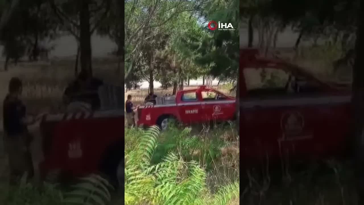 Edirne’de alevlerin arasında kalan kaplumbağa kurtarıldı