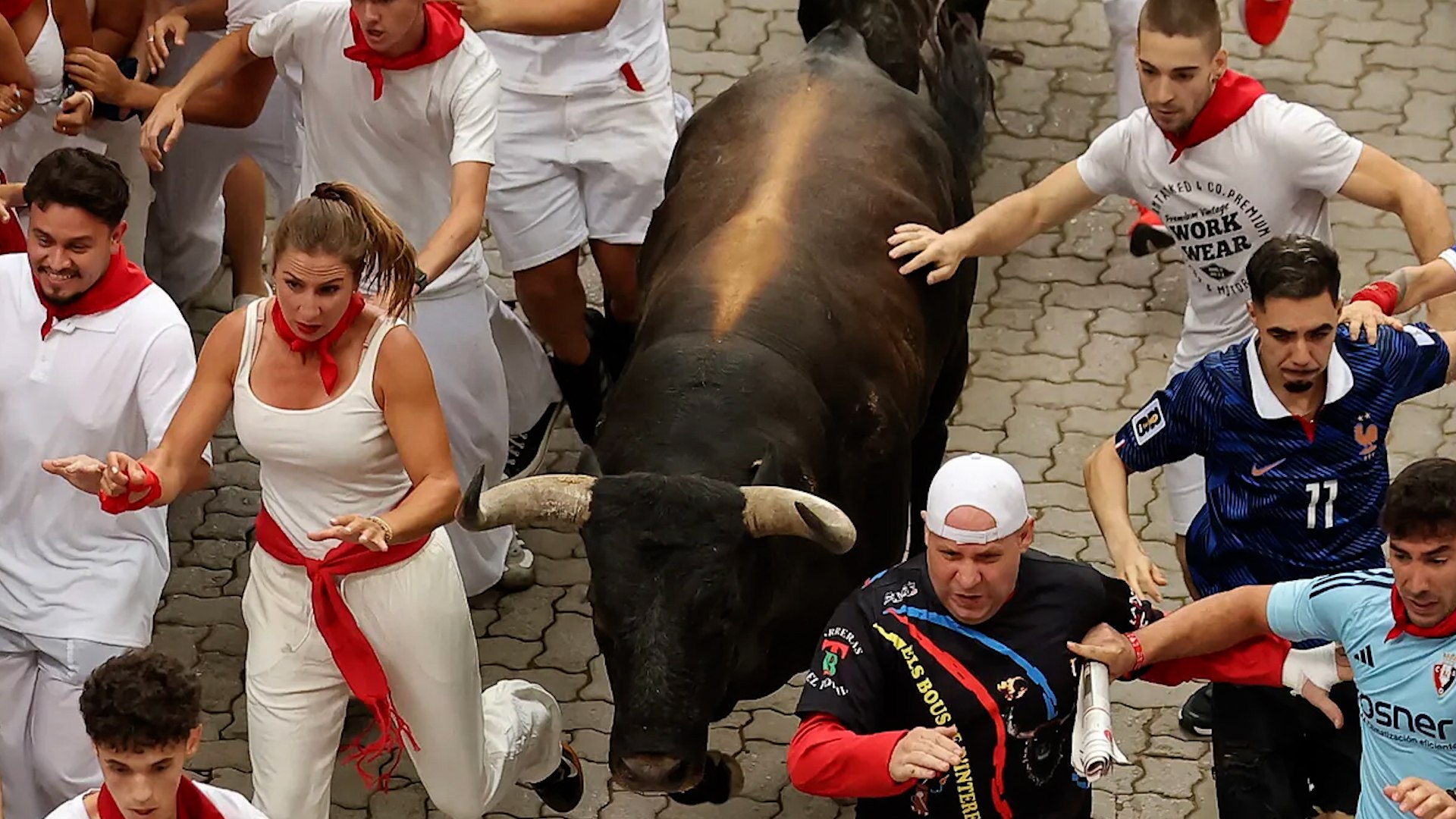 Séptimo encierro de San Fermín: los miuras compiten por la cabeza de manada