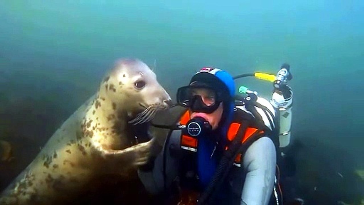 Have you ever encountered an animal that you'll never forget?