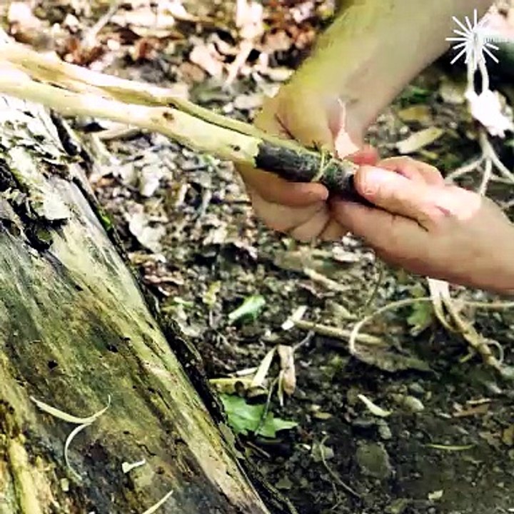 Every camper should know these hacks!
