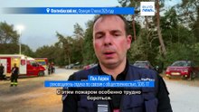 Глава МВД Франции: намеренный поджог мог спровоцировать "крупный пожар в лесу Фонтенбло под Парижем"