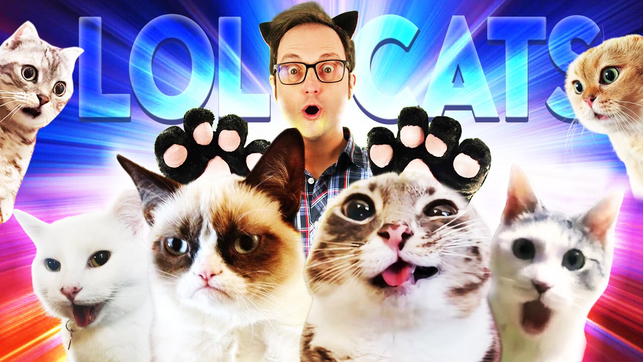L'Histoire des LOLcats (et leur Évolution)