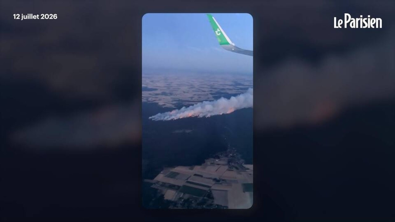 Fontainebleau : l'incendie de la forêt filmé depuis un avion
