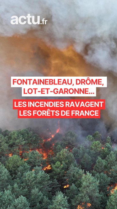 Fontainebleau, Drôme, Lot-et-Garonne... Les incendies ravagent les forêts de France