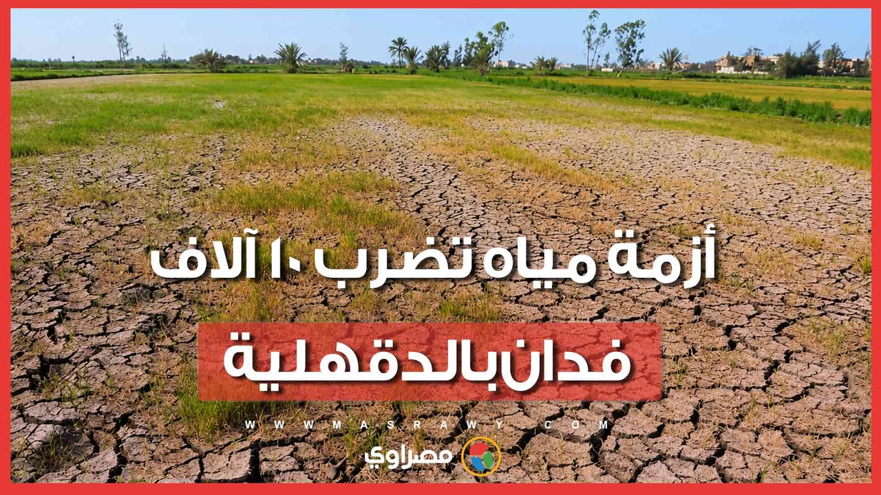 أزمة مياه تضرب 10 آلاف فدان بالدقهلية.. ومزارعون: "الأرز مات من العطش وبننقل المية بالجِرادل"