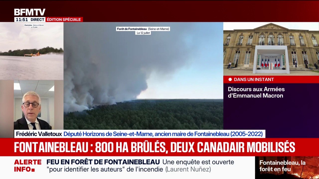 Incendie à Fontainebleau: Frédéric Valletoux, ancien maire de la ville, souligne la difficulté pour les pompiers d'intervenir dans une "forêt habitée"