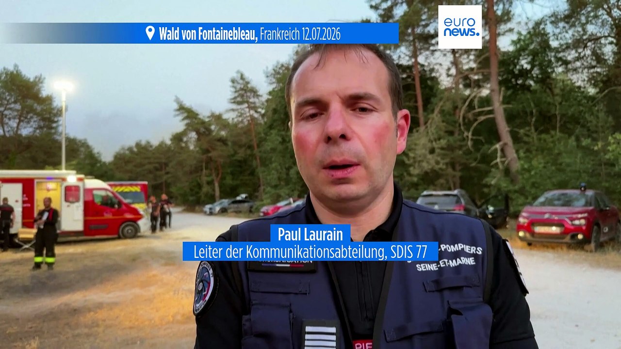Waldbrand südlich von Paris: Feuerwehr im Großeinsatz