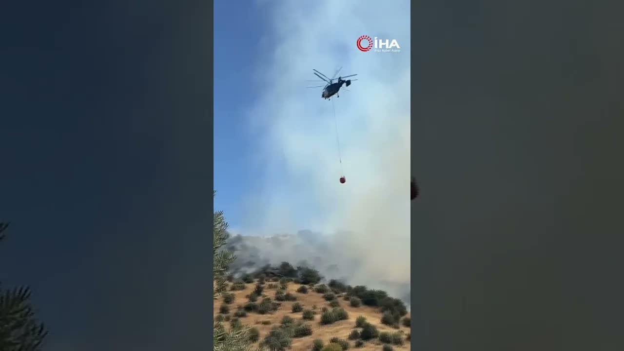Efeler’deki makilik yangını kontrol altına alındı
