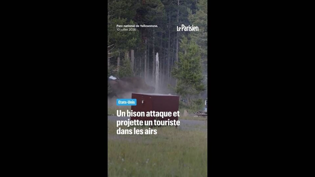 Etats-Unis : un bison attaque et projette un touriste dans les airs