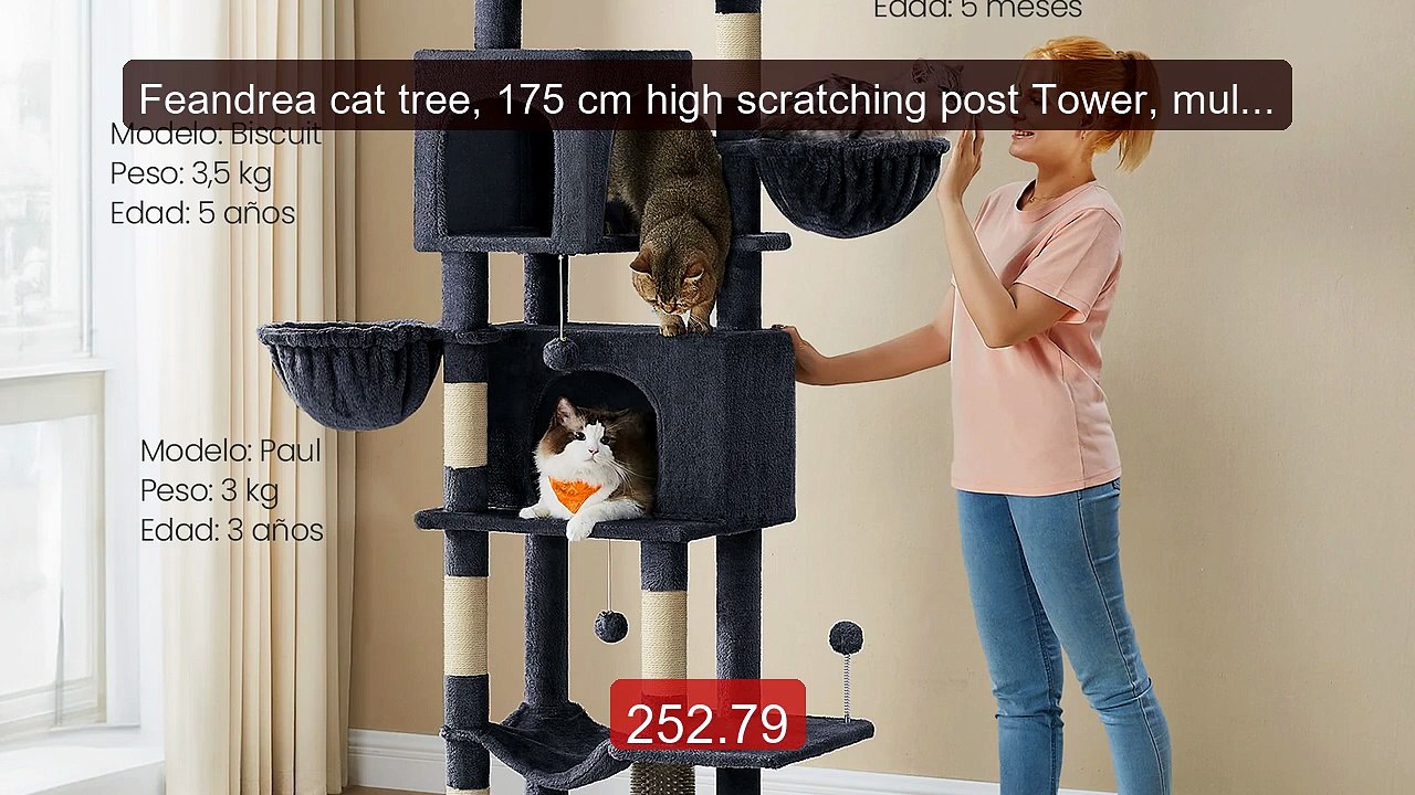 Feandrea cat tree, 175 cm high scratching post Tower, multi-le... -- Best Buy 2026 | Great Quality!