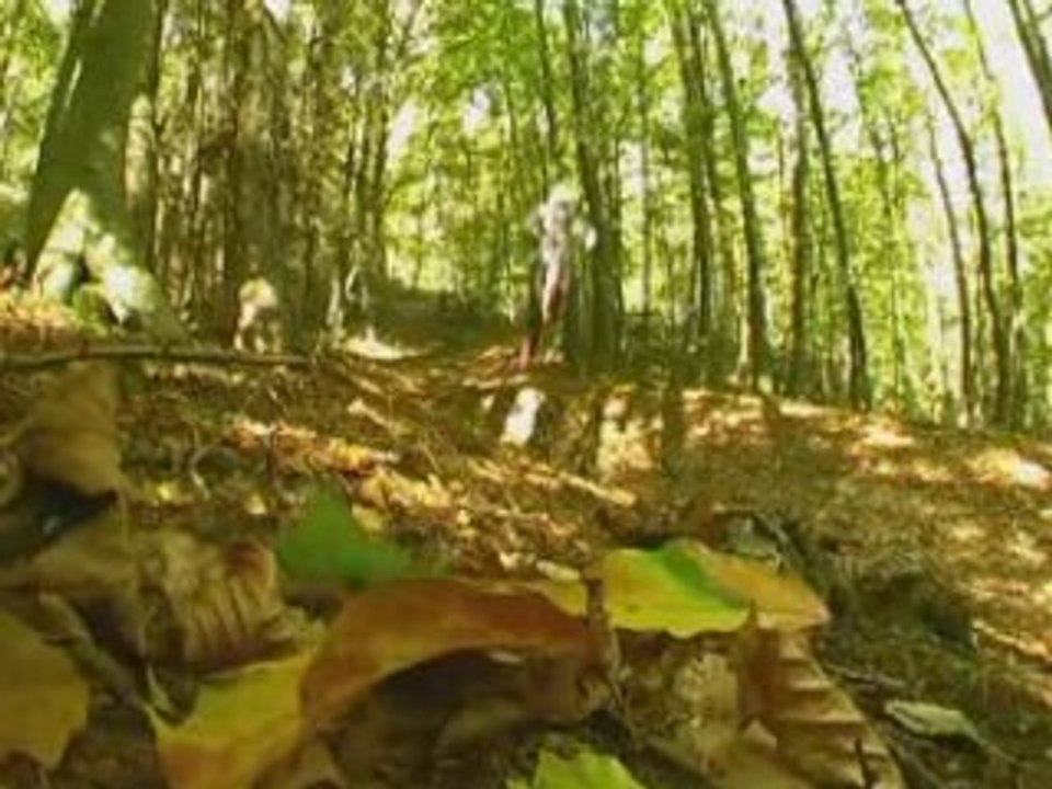 Manfred Stromberg - Secret Downhill Track