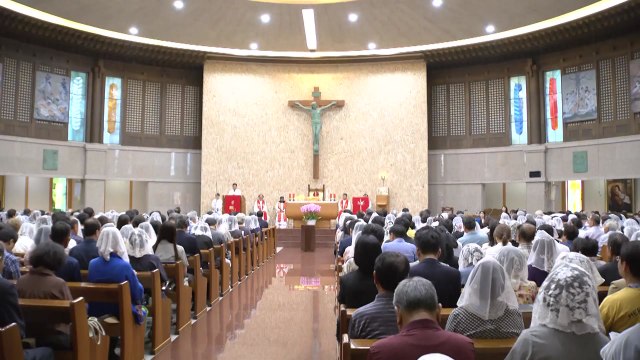 박수현 충남지사, 유흥식 추기경 미사 참석... 내년 교황 방문 요청 / YTN